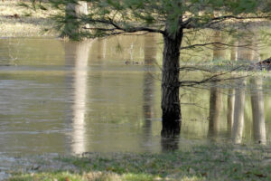 The Parke Company emergency flooding landscaping