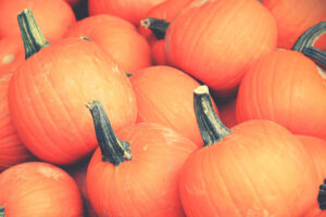 Pile of pumpkins in Nashville in the fall
