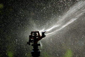 Sprinkler going off in a lawn