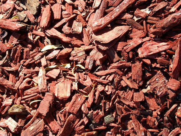 Close up of red mulch