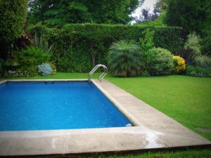 backyard pool landscaping