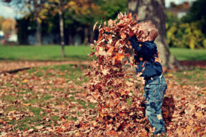 Boy playing in fall leaves