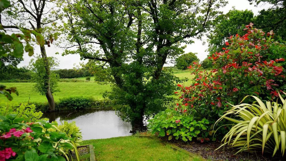 Freshly landscaped pond and garden