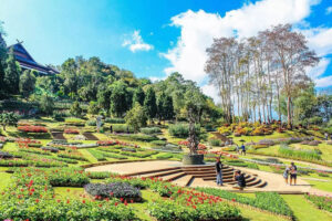 Freshly landscaped park