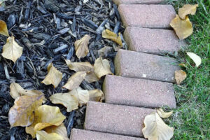 Fresh mulch against bricks