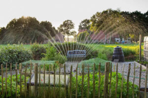Irrigation sprinkler watering a garden
