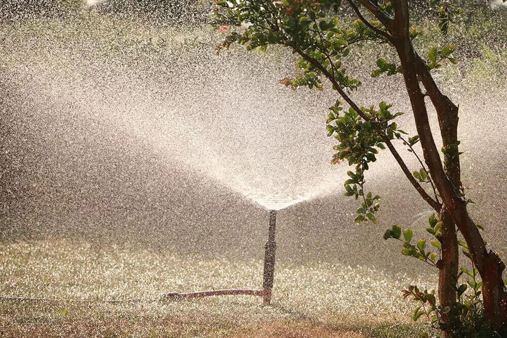 Irrigation system sprinkler watering grass