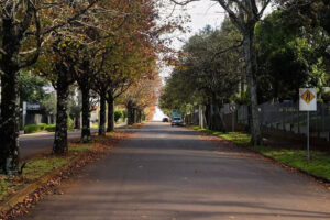 Old street with trees on either side