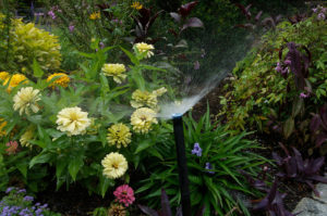 The Parke Company irrigation services on flowers