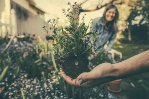 The Parke Company Nashville Treecare landscape services