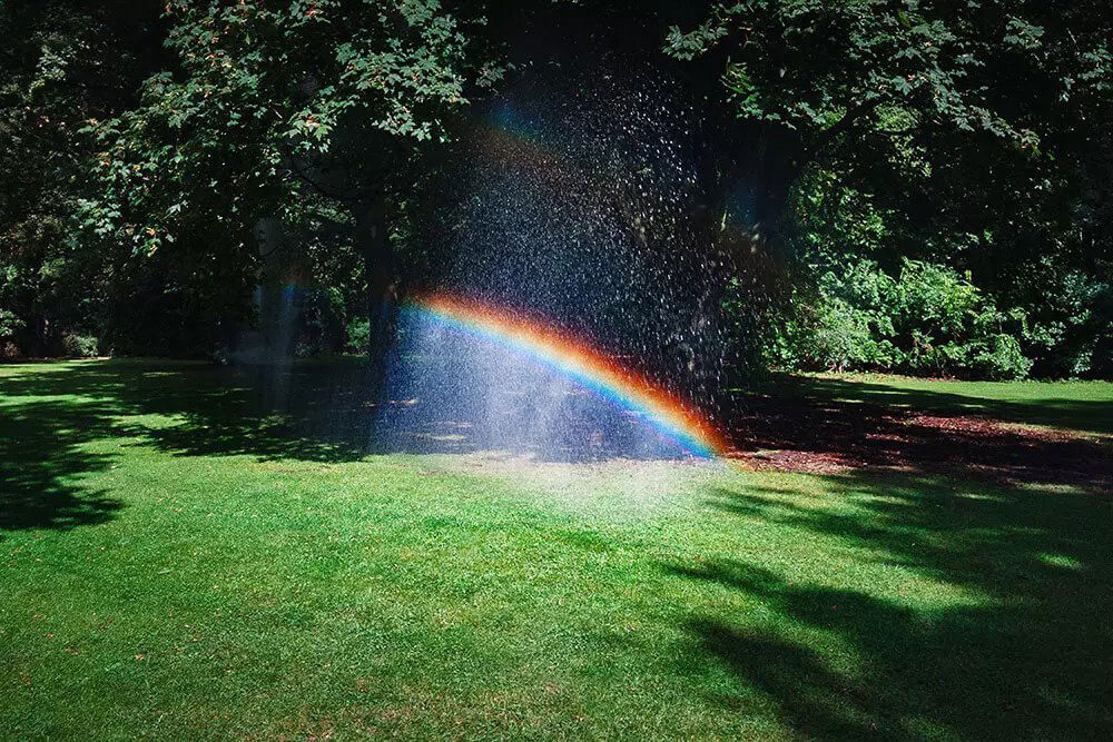 Rainbow showing in a sprinkler watering a lawn