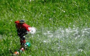 Sprinkler watering grass