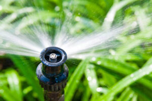 Irrigation system watering grass