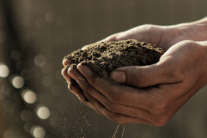 Parke Company soil in gardener's hands