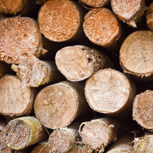 The Parke Company stacks of firewood