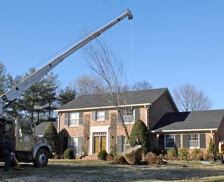 Tree-installation-parke-company-nashville