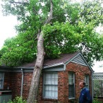 Emergency Tree Removal Before - Clarksville, TN