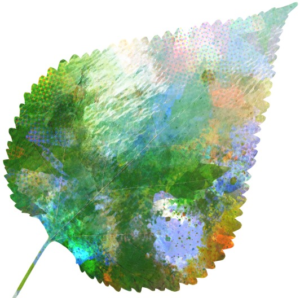 The Parke Company irrigation services leaf
