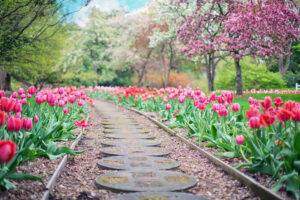 Gravel walkway with flowers