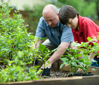 Father and son gardening