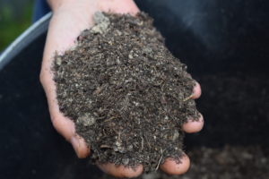 Person with mulch in their hand