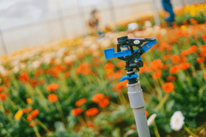 Sprinkler for irrigation in a field
