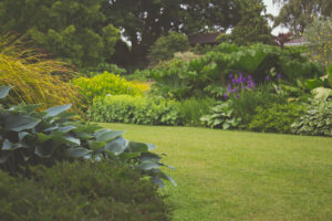 lush garden