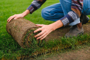 landscaping