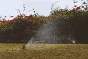 Sprinkler on a lawn