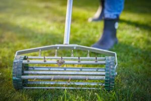 Lawn aerator going through grass.
