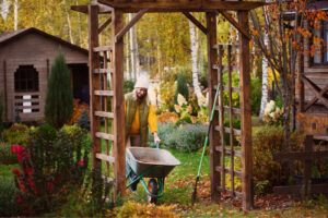 Woman with a wheelbarrow in an autumnal garden with colorful foliage and wooden structures.