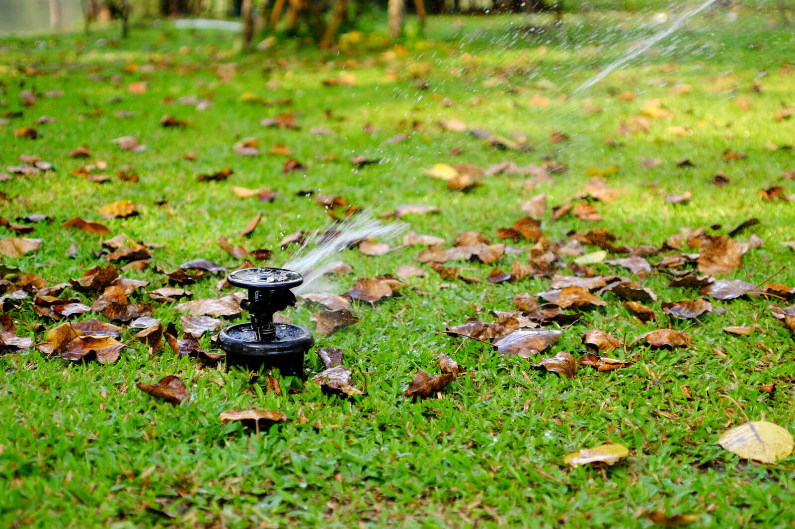 An irrigation sprinkler in operation