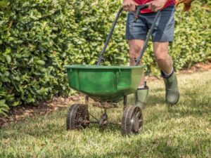 A gardener adding fertilizer to a lawn.