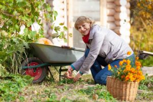 A woman weeding her garden