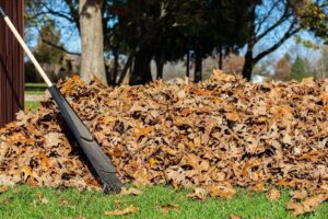 A pile of autumn leaves sitting on the green grass beside a rake, with trees in the background.