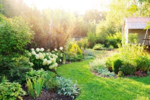 A lush garden with a pathway leading a shed, flowers, and bathed in sunlight.