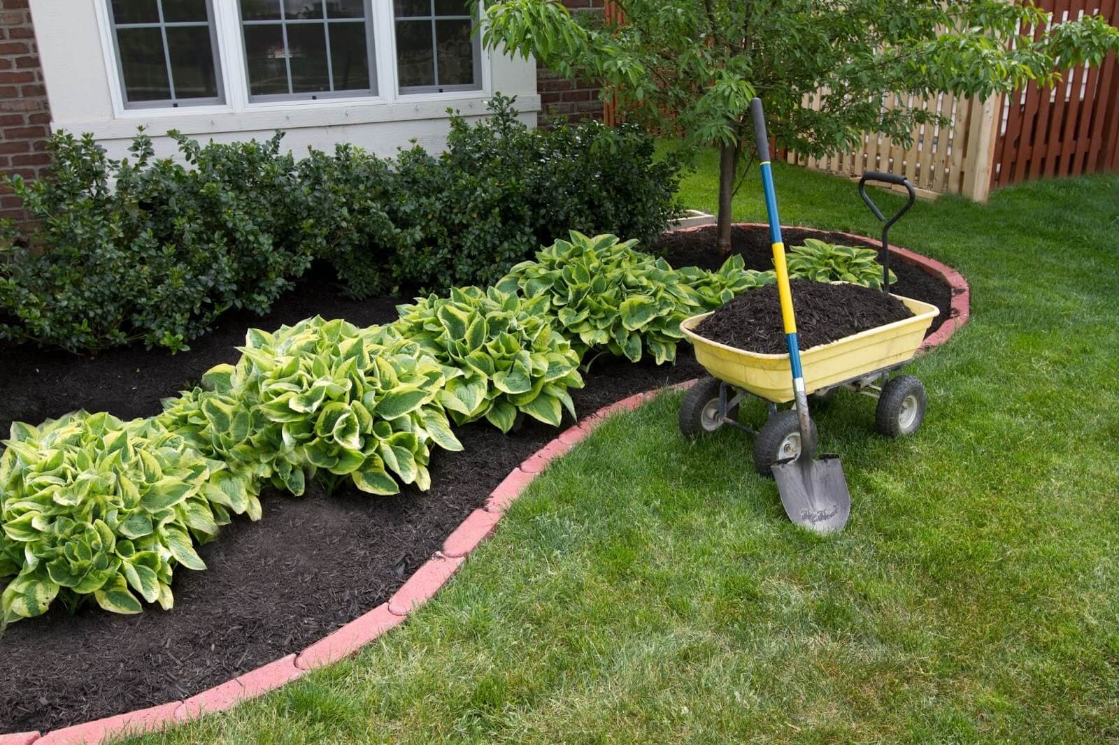 A colorful garden scene with plants, tools, and a cozy home backdrop.